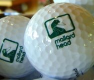 mallard head golf course homes mooresville nc