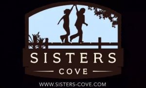 sisters-cove-lake-norman-homes